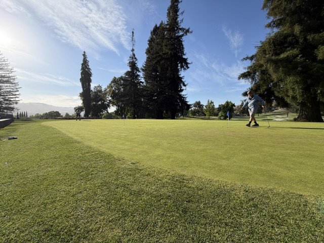 Putting green at Crow Canyon Country Club with golfers, tall pines and mountain views